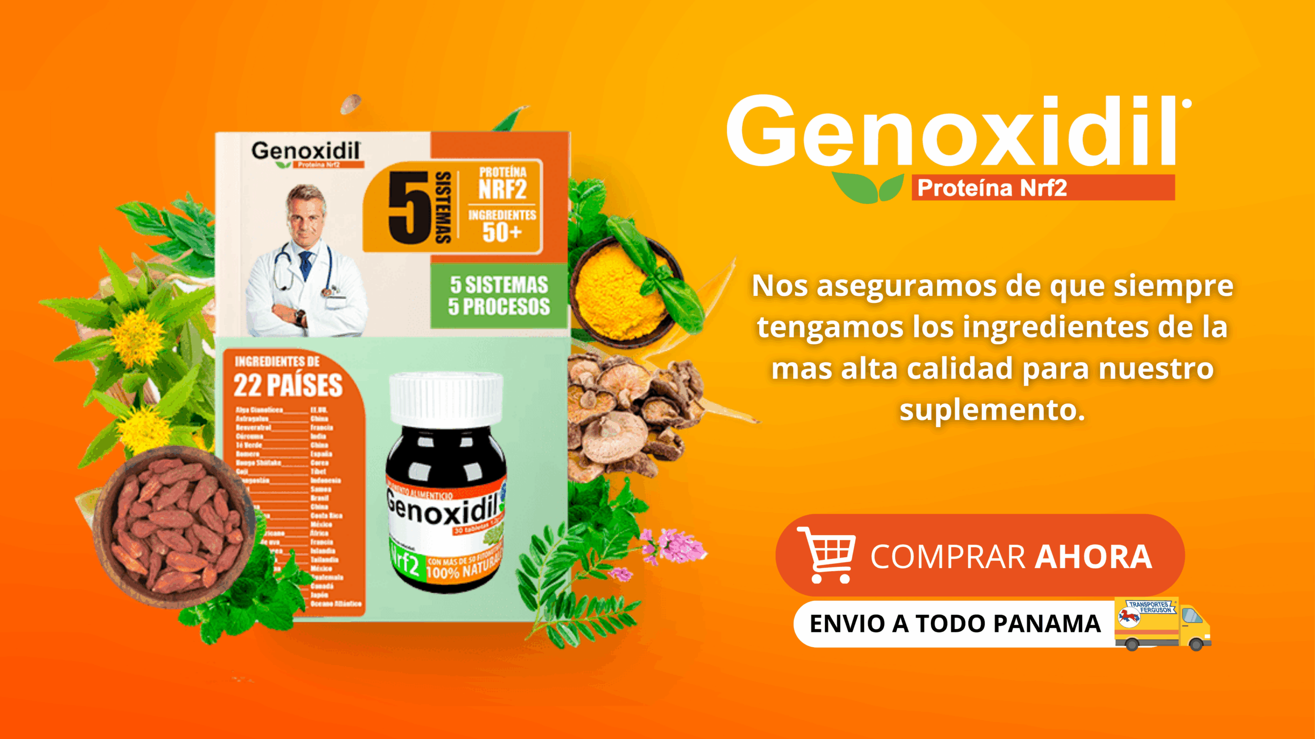 Banner Genoxidil