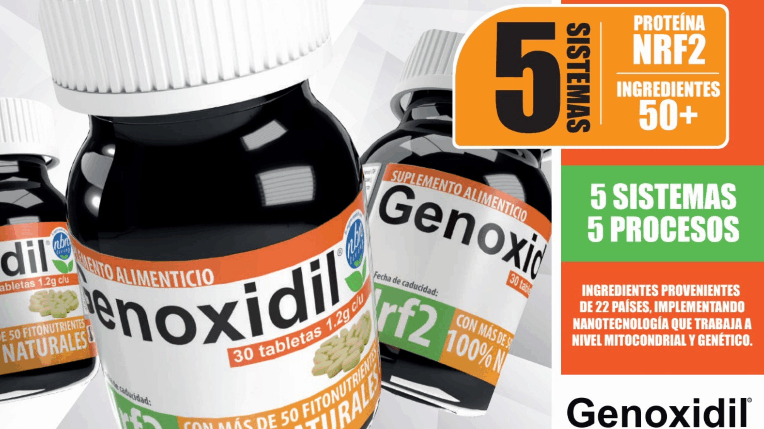 Banner Genoxidil 2